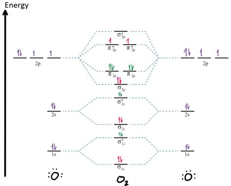 enter the orbital diagram for the ion cd2 .|Solved Enter the orbital diagram for the ion Cd2+ Drag the .